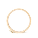 Hardwicke Manor Hoop